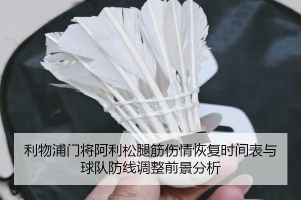 利物浦门将阿利松腿筋伤情恢复时间表与球队防线调整前景分析